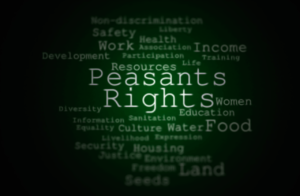 Support of the draft UN Declaration on the peasants rights